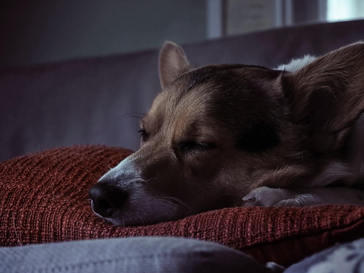 4 Habits That Are Helping Me Right Now as a Software&nbsp;Engineer